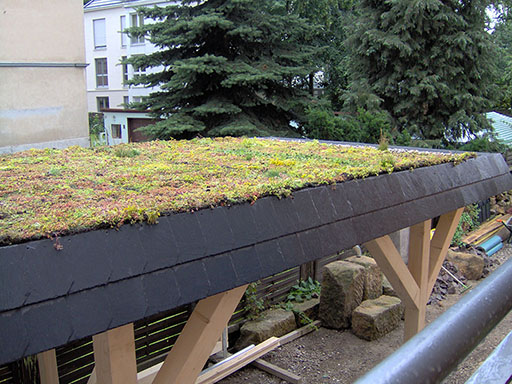 Carport mit Pflanzen und Grünflächen